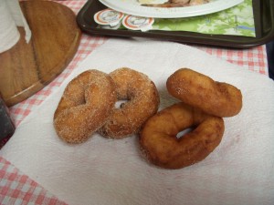 Cinnamon sugar and plain doughnuts