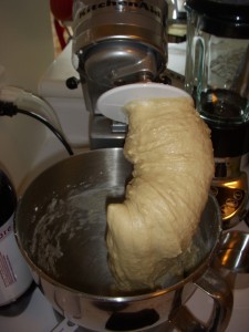 Letting the Kitchen Aid do all the kneading