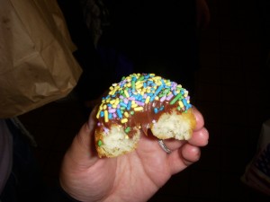 Chocolate frosted doughnut with sprinkles
