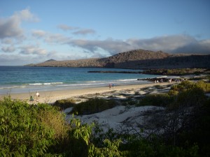 The sandy beach where the sea turtles lay their eggs