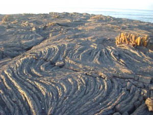 Ropey lava and lava cactuses