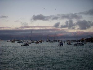 Leaving Puerto Ayora on the last zodiac