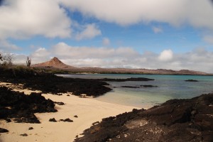 Pretty beach and crystal clear water