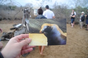 The postcard we deposited in the barrel in hopes that it will reach our parents one day