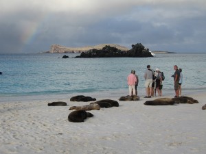 Sea lions laying on the beach and a rainbow in the distance