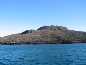 Does it look like a Chinese Hat?