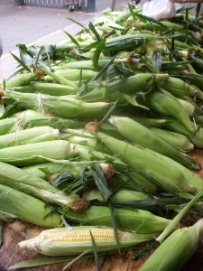 Huge pile of fresh picked corn