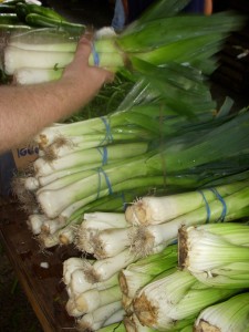 Gorgeous fresh leeks