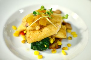 Pan roasted Carolina rainbow trout with zucchini cakes, roasted corn, house bacon, and peach compote