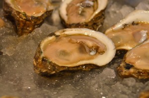 Oyster up close