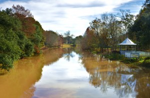 Bayou Teche