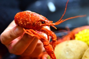 Crawfish and seasoning up close